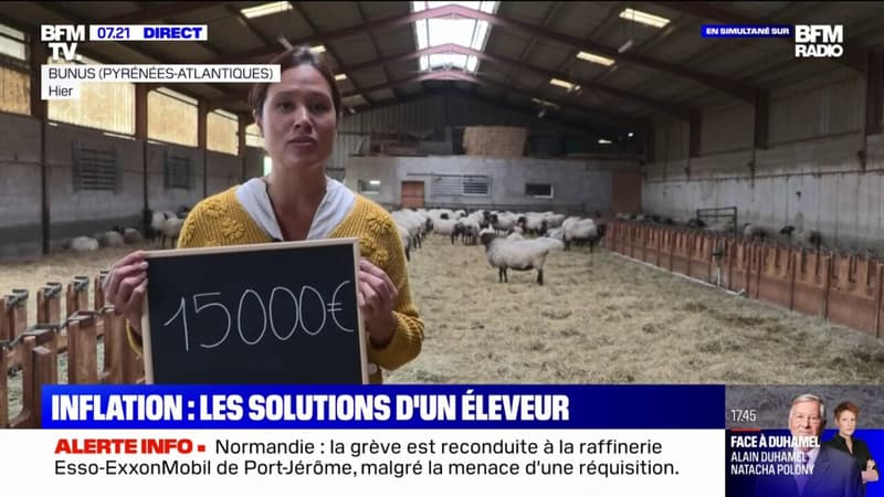 Inflation: les solutions d'un éleveur de chèvres pour limiter l'impact sur le prix de ses produits