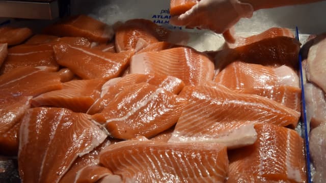 Le saumon transgénique va être consommé par les Américains (photo d'illustration)