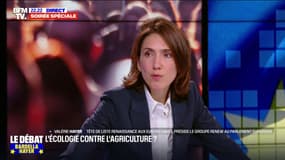 Valérie Hayer: "Sans l'Europe, notre agriculture française ne serait pas si forte"