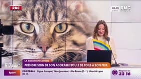 Solution Conso - Prendre soin de son adorable boule de poil à bon prix