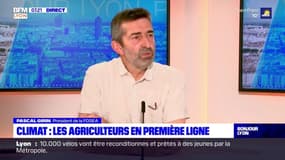 Gel dans le Rhône: "Un certain nombre d'exploitants seront sans récolte"