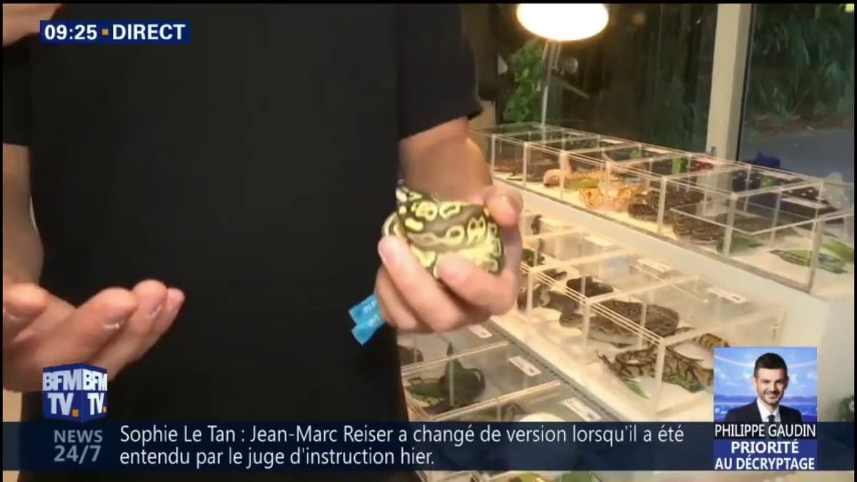 placeholder video