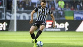 Thomas Mangani - Angers 