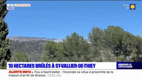Alpes-Maritimes: dix hectares de broussailles ont brûlé à Saint-Vallier-de-Thiey