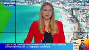 Antibes : Une association se mobilise contre le salon du chiot 