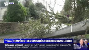 "On reste mobilisé et vigilant": le premier adjoint au maire de Niort explique comment la municipalité gère la vigilance orange crues dans les Deux-Sèvres 