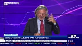 Idée de fonds : Métaux précieux, quel rôle dans votre épargne ? - 22/08
