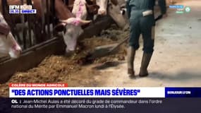 "Des actions ponctuelles mais sévères": les agriculteurs du Rhône continuent de faire pression