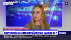Réchauffement climatique: quels conséquences dans les Alpes-Maritimes?
