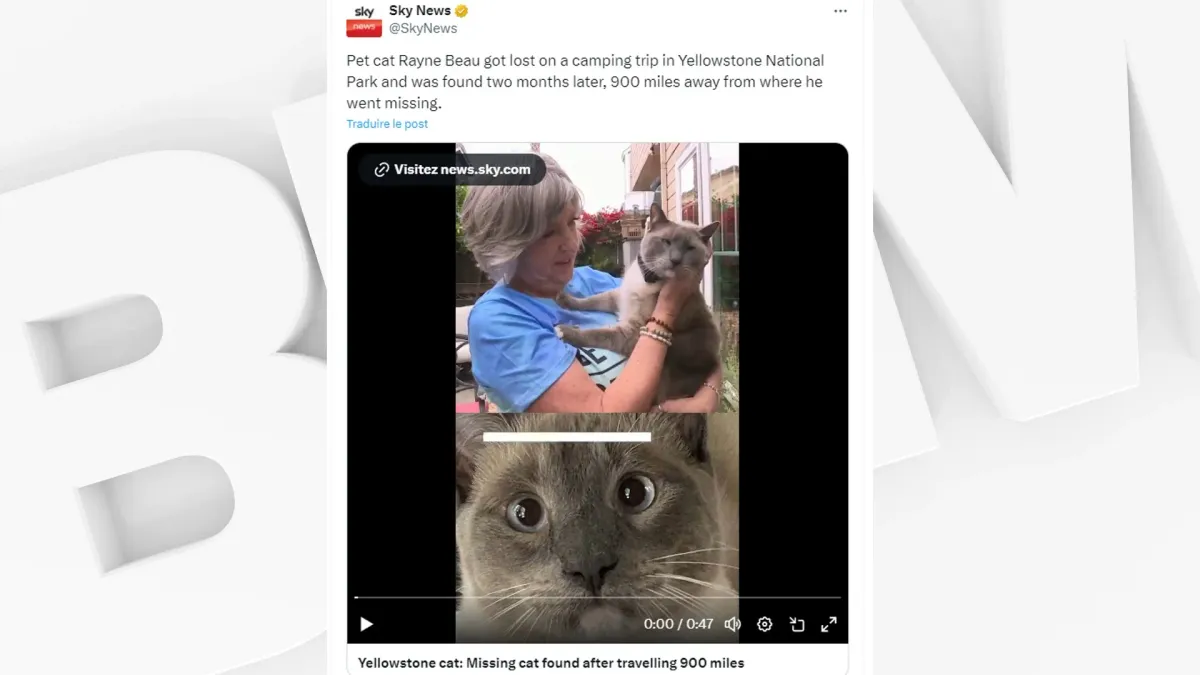 placeholder video