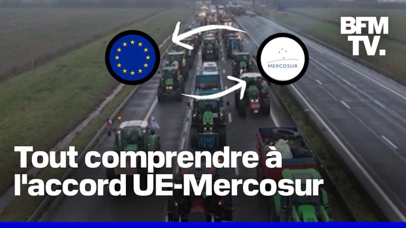 Accord UE-Mercosur: pourquoi ce projet pose problème à nos agriculteurs?