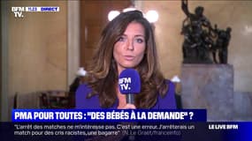 PMA pour toutes: "Des bébés à la demande" ? (3/3) - 10/09