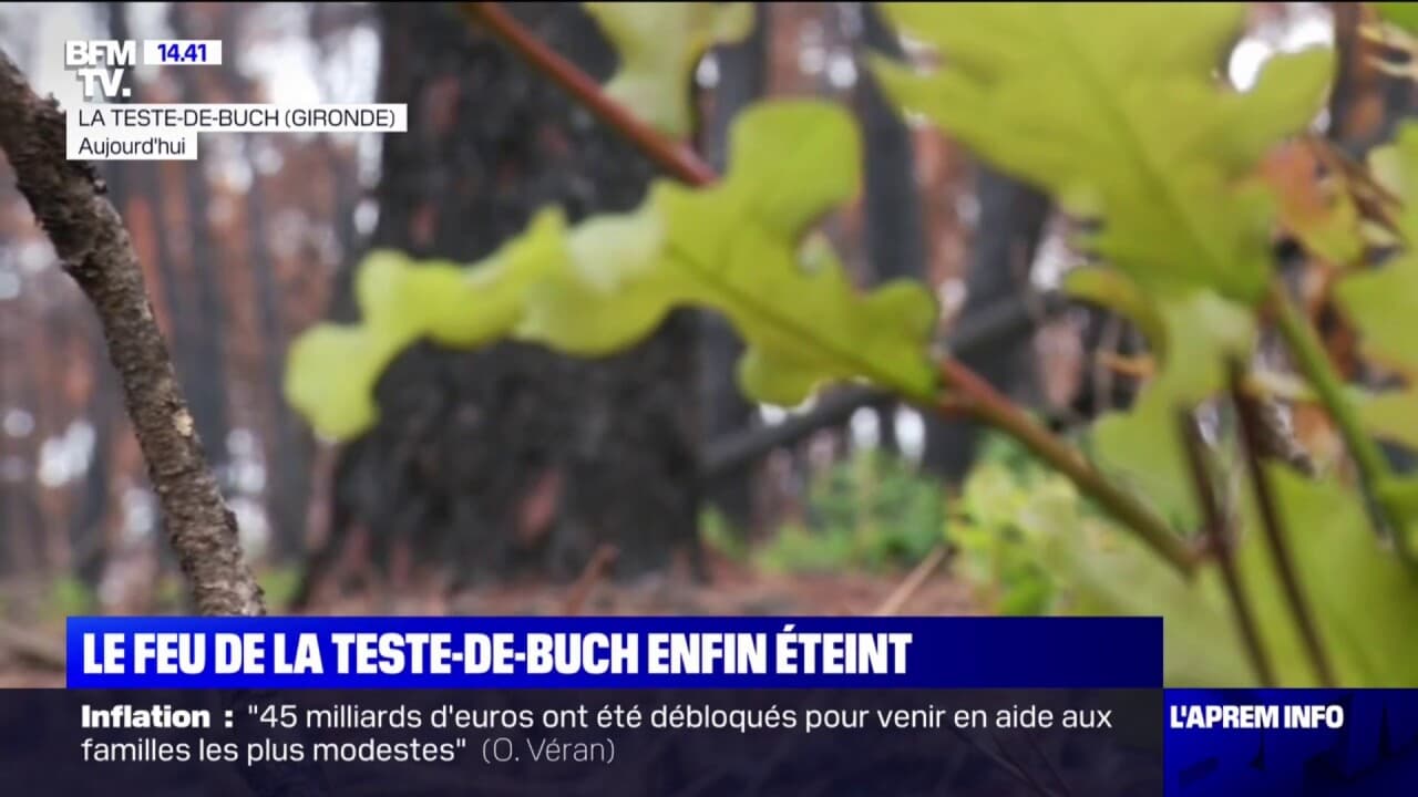 La Teste-de-Buch: après un mois et demi de lutte contre les reprises de