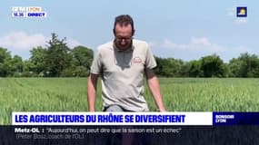 Les agriculteurs du Rhône se diversifient