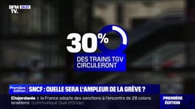 SNCF: quelle sera l'ampleur de la grève prévue ce week-end?