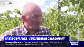 Hauts-de-France : Vendanges de chardonnay - 05/10