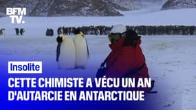 "Ice Bar", foot sur la banquise...Cette chimiste a vécu un an d'autarcie en Antarctique