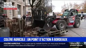 Colère agricole: une action en cours à Bordeaux