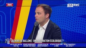 L’association Robin des Bois veut interdire les lâchers de ballons car trop polluants : "Je propose la suppression pure et simple de tous les financements publics à toutes les associations", rétorque Charles Consigny