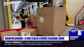 Geispolsheim: 3000 colis livrés chaque jour avant Noël