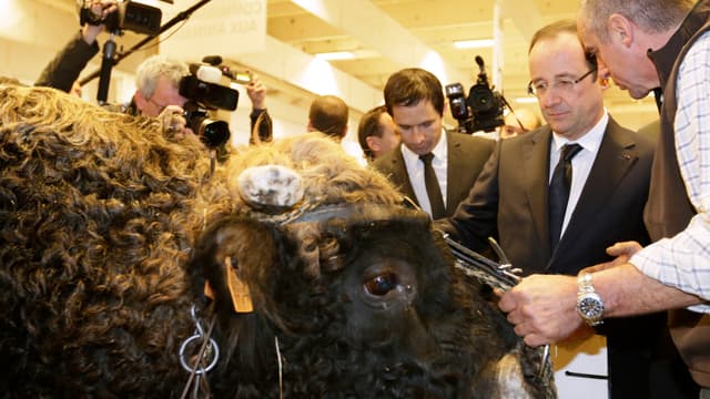 François Hollande au Salon de l'Agriculture, samedi 23 février.