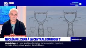 Bugey: "Sortir du nucléaire" milite pour la fermeture de la centrale