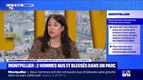 Montpellier : deux hommes nus et blessés dans un parc - 04/08