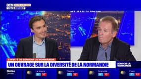 Michel Bussi, c'est l'histoire": dans son ouvrage "La Normandie se découvre", Dominique Krauskopf rend hommage à l'écrivain originaire de l'Eure  