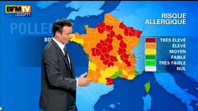 Pollens: semaine critique pour les allergiques