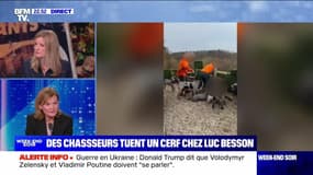 Cisai-Saint-Aubin : des chasseurs tuent un cerf chez Luc Besson - 21/02