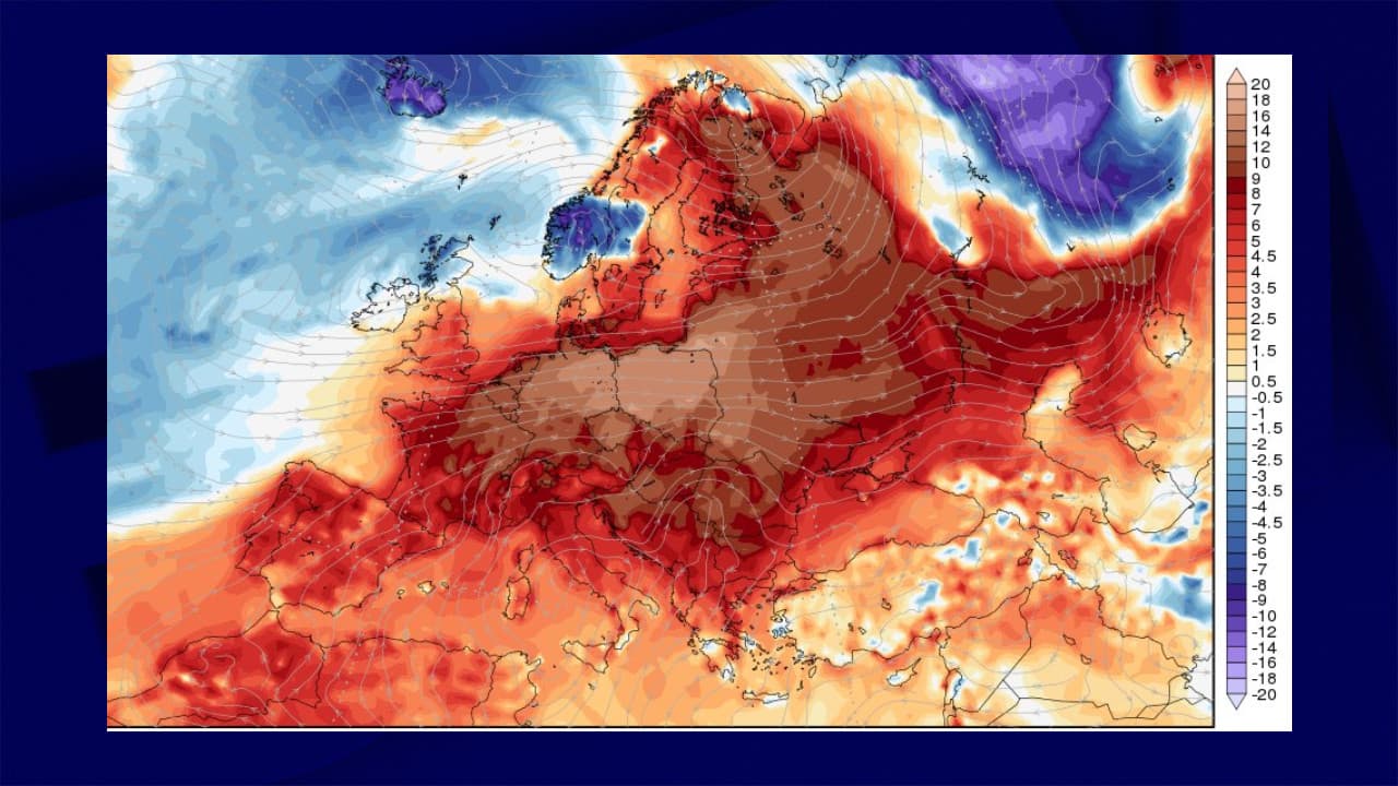 Polska, Holandia, Dania… Francja to nie jedyne miejsce z rekordowymi upałami w Nowy Rok
