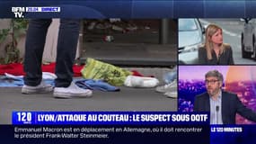 Lyon/attaque au couteau : le suspect sous OQTF - 26/05