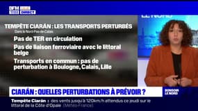 Tempête Ciaran: quelles perturbations à prévoir dans les Hauts-de-France?