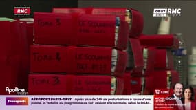 Le Scouarnec: le procès de l'ex-chirurgien touche à sa fin