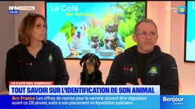 Bonjour Littoral du mercredi 28 janvier 2026