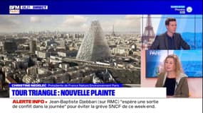 "Un projet entaché d'illégalités": France Nature Environnement porte plainte contre le projet de la Tour Triangle à Paris