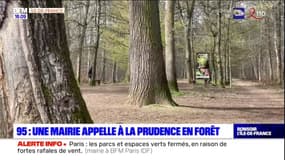 Val-d'Oise: un appel à la prudence en forêt après la découverte de produits suspects