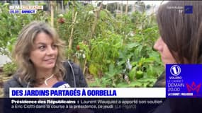 Nice: des jardins partagés au sommet des nouveaux immeubles du quartier Gorbella