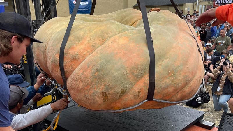 États-Unis: une citrouille de plus d'une tonne bat le record de la plus grosse cucurbitacée au monde