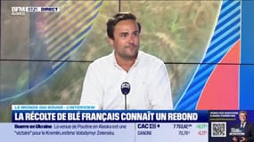 Agriculture: "À l'heure actuelle, si les céréaliers vendent une tonne de blé, ils perdent de l'argent", estime Arthur Portier, consultant chez Argus Media