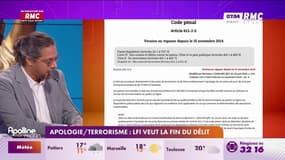 Apologie du terrorisme : LFI veut la fin du délit