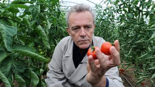 Alain Passard, dans son potager de Fillé-sur-Sarthe, le 9 juillet 2014.