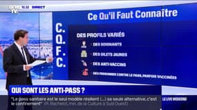 Qui sont les personnes opposées à l'extension du pass sanitaire ?