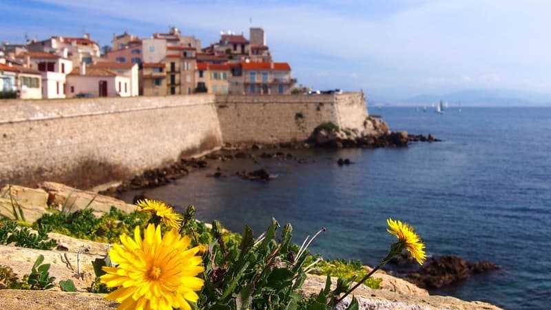 Une borne connectée a été piratée à Antibes pour rediriger vers un site pornographique.