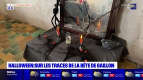 Balades Normandes du samedi 28 octobre 2023