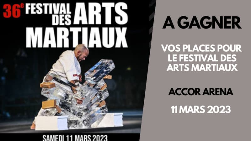 A gagner : vos places pour le festival des Arts Martiaux
