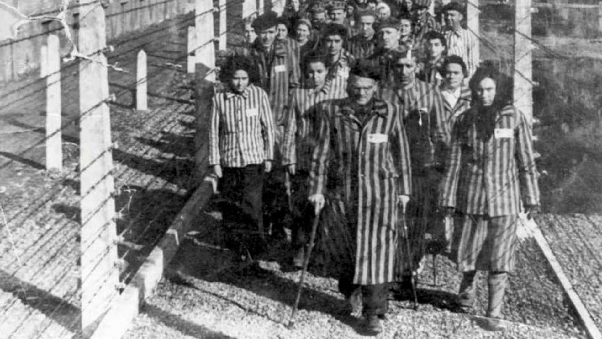 ENQUÊTE SUR LES CAMPS PERDUS DU IIIe REICH