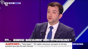 "Contre l'hyperviolence, la première chose à faire est de resacraliser la personne humaine et l'intégrité physique", selon Jean-Philippe Tanguy