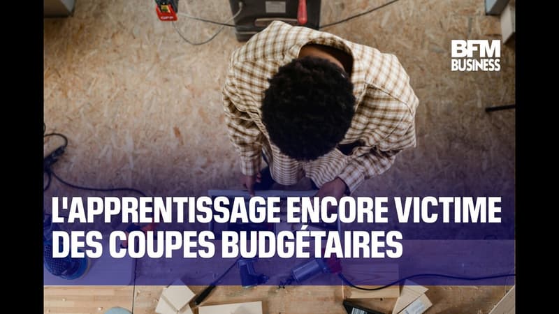 L'apprentissage encore victime des coupes budgétaires
