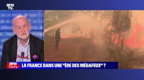 Story 7 : La France dans une "ère de mégafeux" ? - 19/07